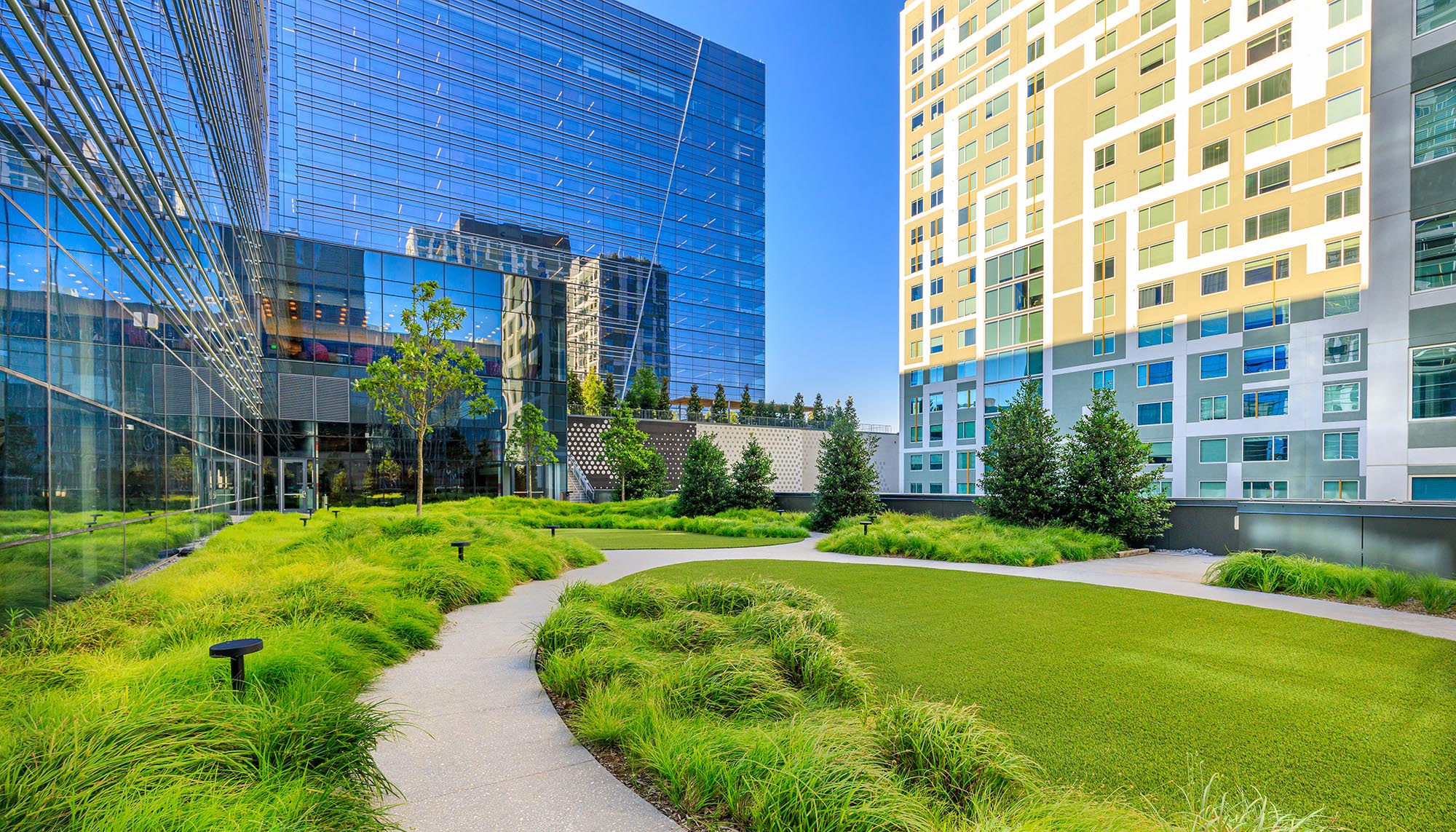 Commercial Landscape Installation