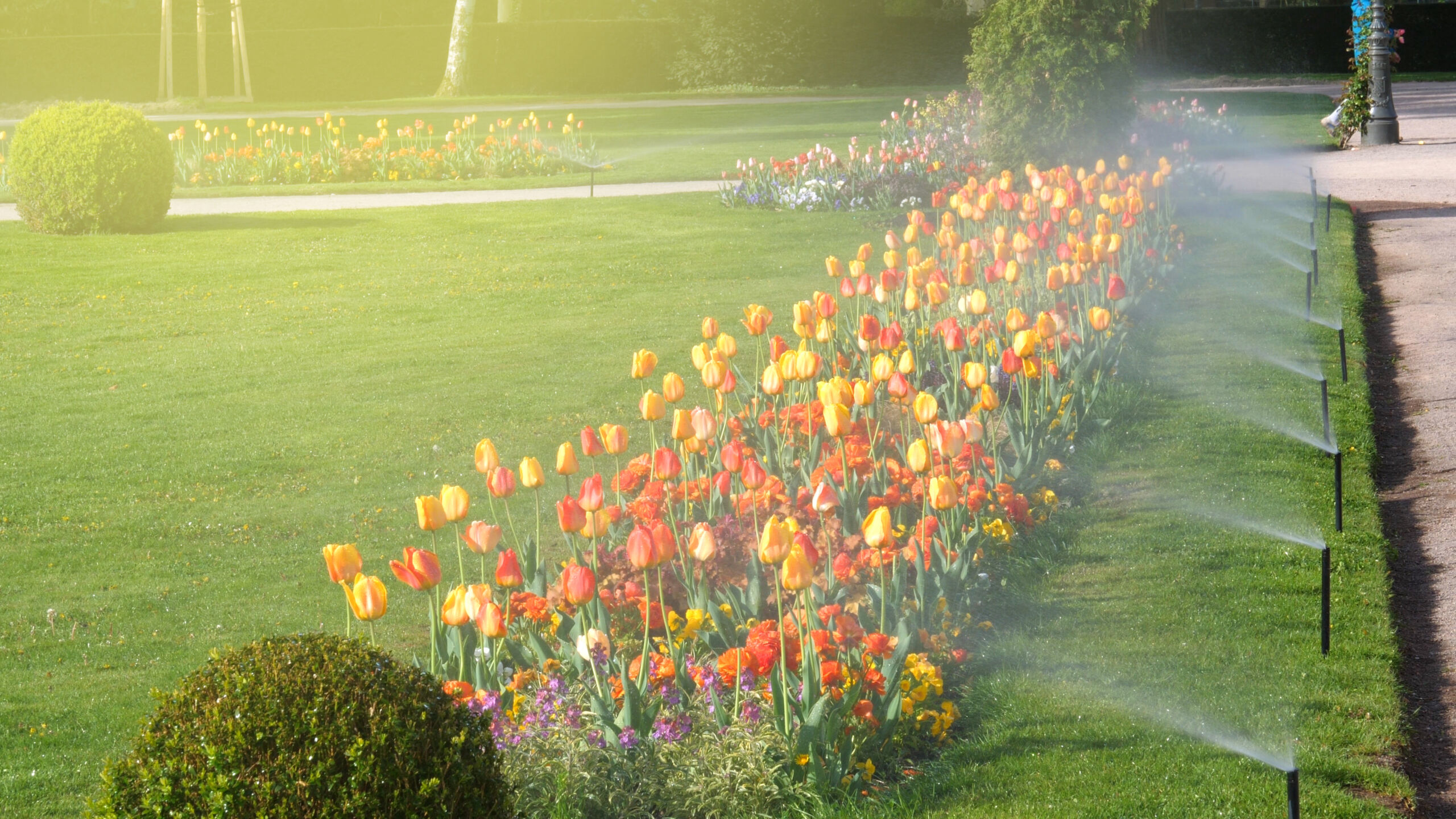 Smart garden luxury park with automatic sprinkler irrigation sys