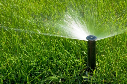 Commercial Sprinkler Installation