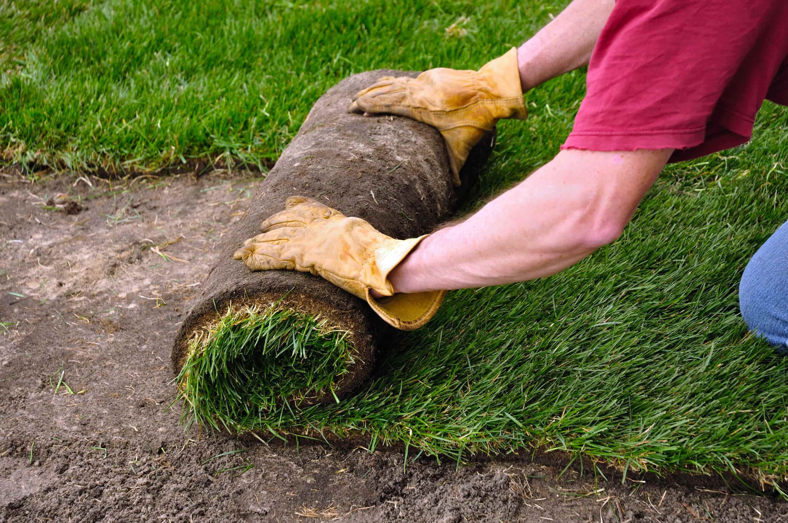Landscape Installation