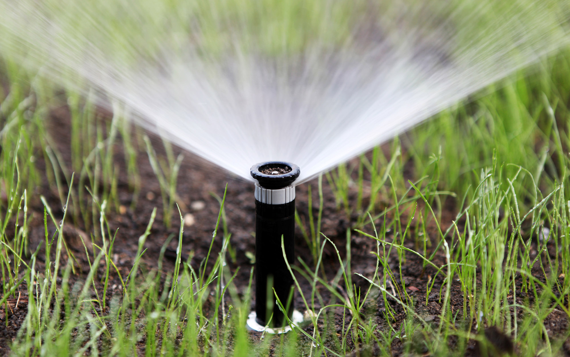 Commercial Sprinklers