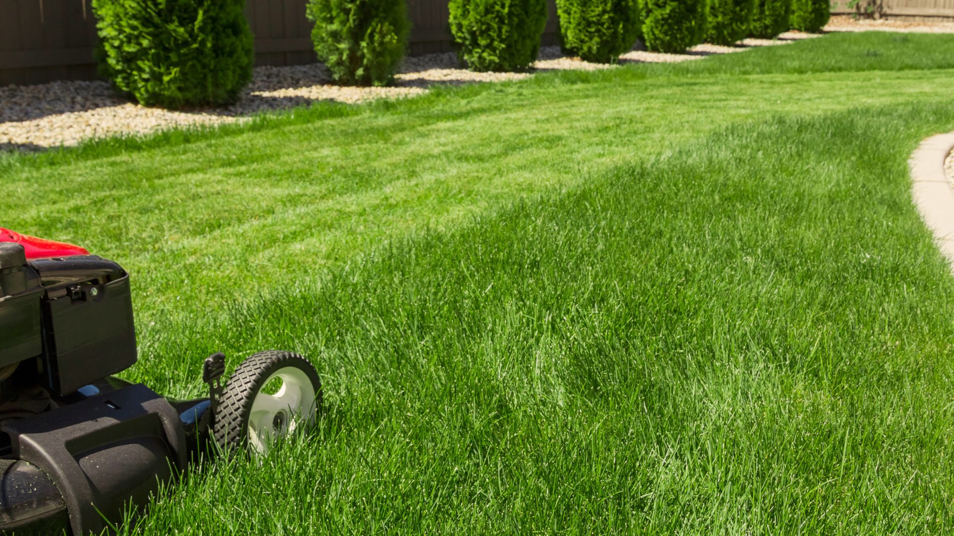 Freshly mowed lawn and finished landscape