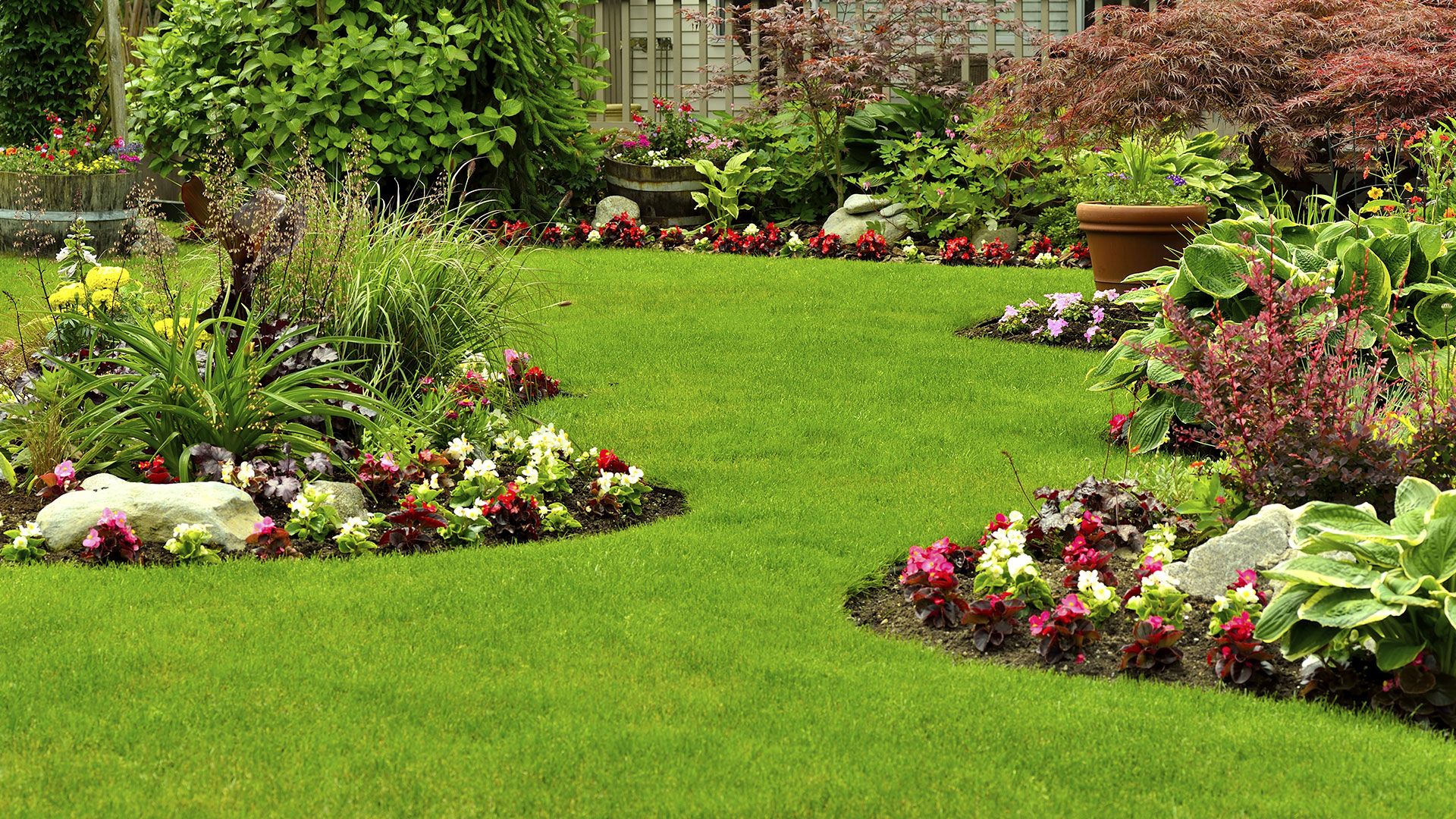 Healthy lawn with coordinated landscape care