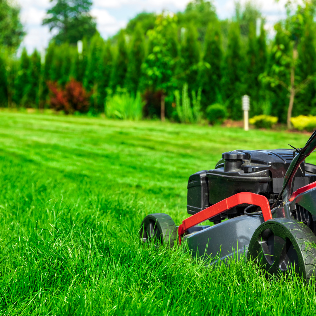 Lawn mowing and landscape maintenance