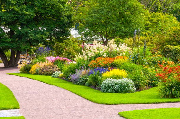 Lush summer Garden