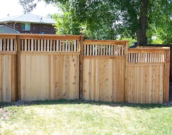 Cedar Fence
