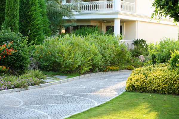 Landscape Design and Installation