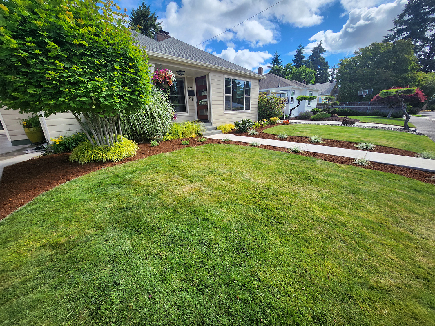Finished front lawn and landscape planting