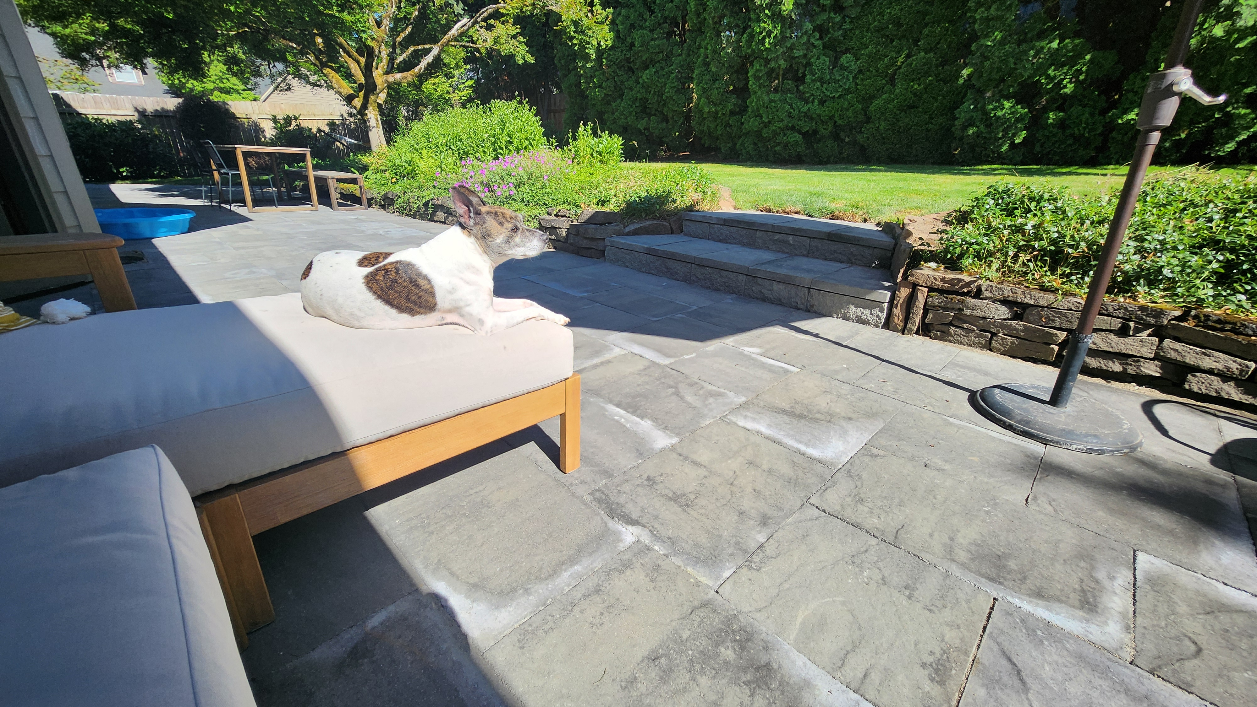 patio-after3 Stone paver patio steps and retaining wall beside a lawn