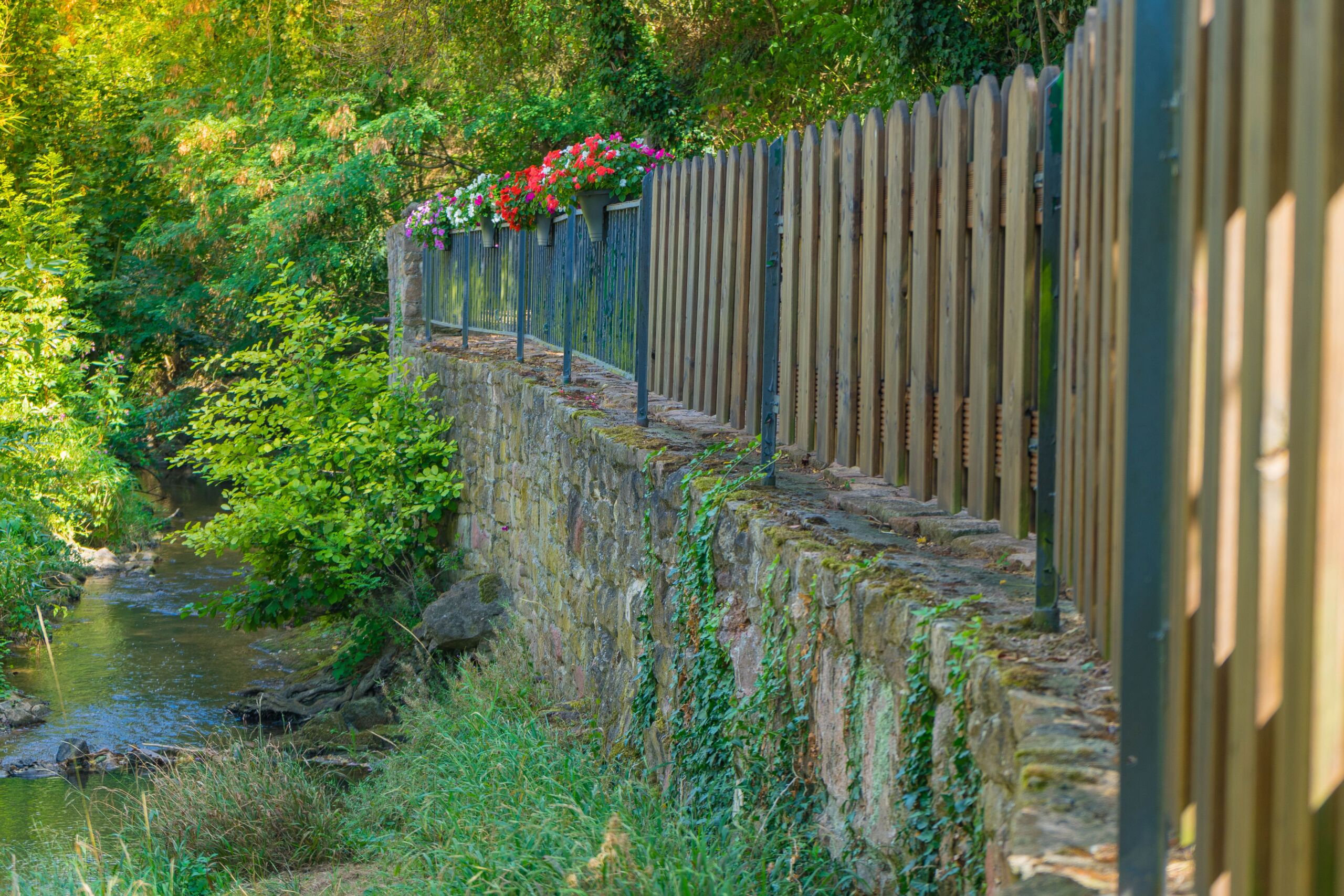 plants-by-railing-fence-by-trees (1) Plantings beside a residential fence